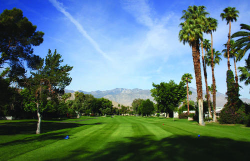 Date Palm Country Club 